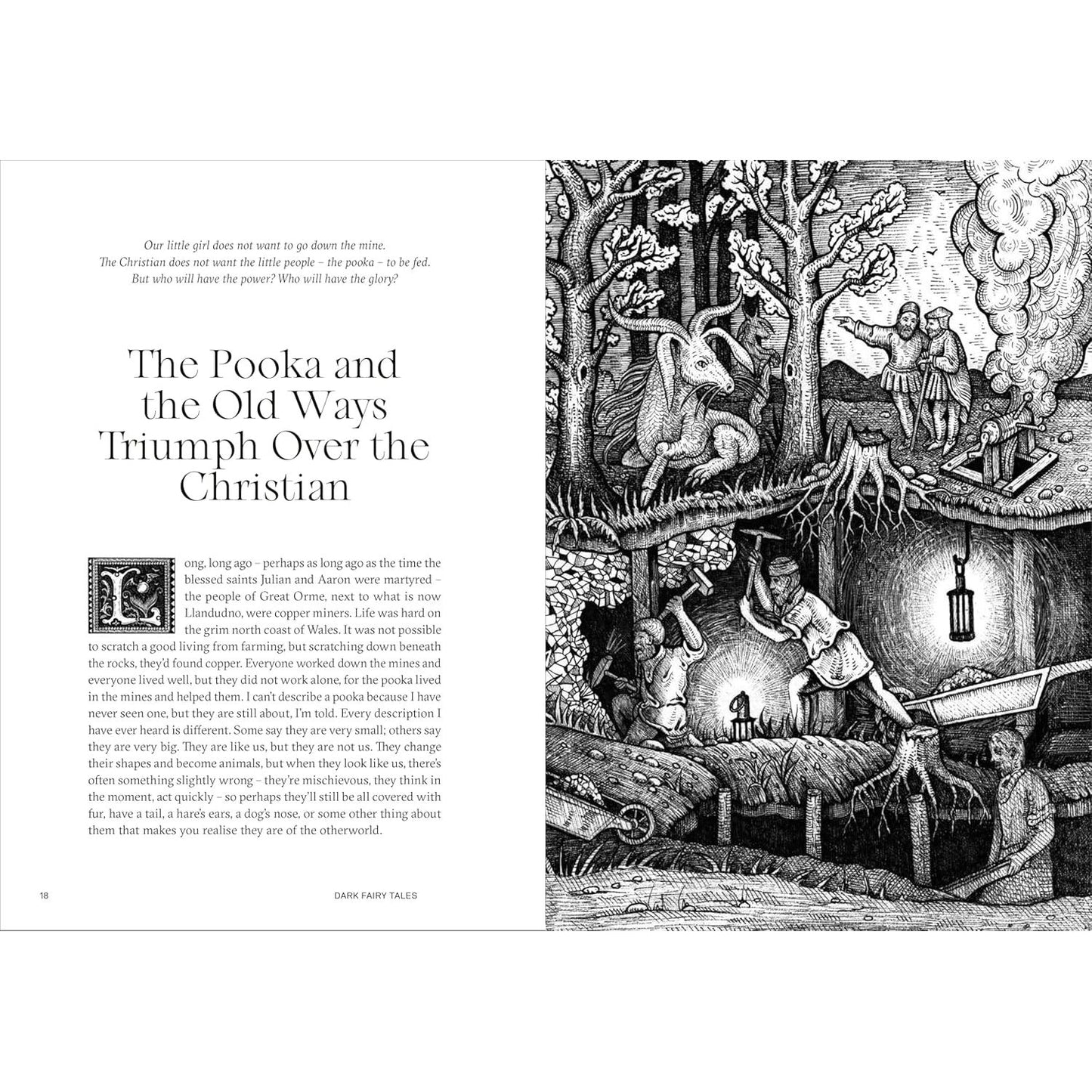 DARK FAIRY TALES BY VIKTOR WYND AND ILLUSTRATED BY LUCIANA NEDELEA