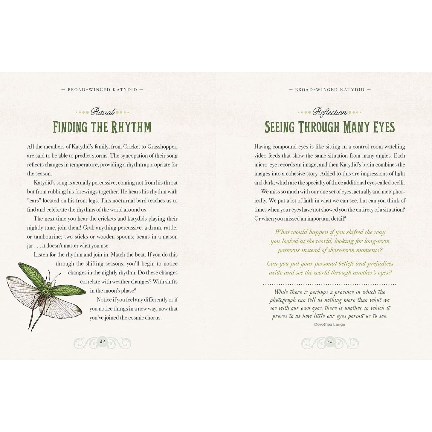 THE ILLUSTRATED BEASTIARY BY MAIA TOLL