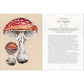 MYSTICAL MUSHROOMS BY AURORA KANE