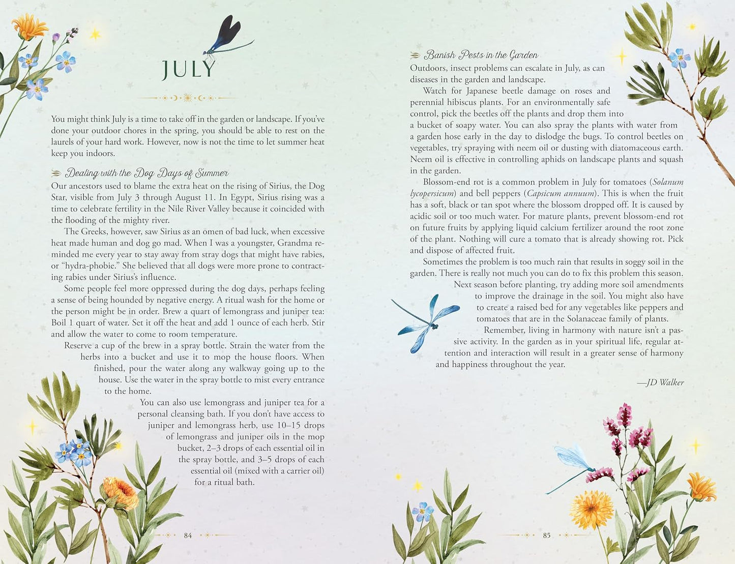 LLEWELLYN'S 2027 HERBAL ENCHANTMENT PLANNER: A GREEN GUIDE TO PLANT MAGIC