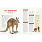 A CURIOUS COLLECTION OF DANGEROUS CREATURES: AN ILLUSTRATED ENCYCLOPEDIA BY SAMI BAYLY