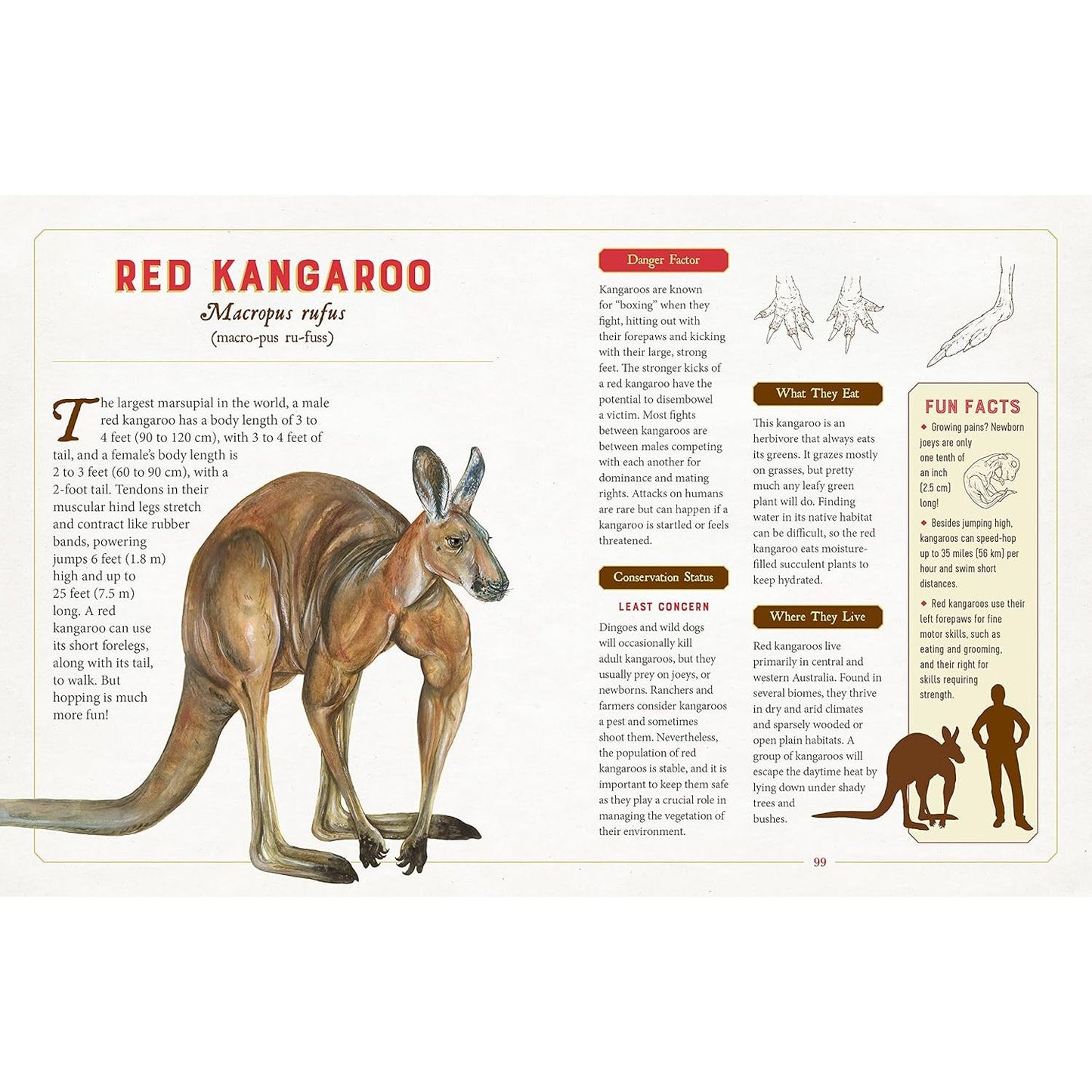 A CURIOUS COLLECTION OF DANGEROUS CREATURES: AN ILLUSTRATED ENCYCLOPEDIA BY SAMI BAYLY