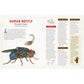 A CURIOUS COLLECTION OF DANGEROUS CREATURES: AN ILLUSTRATED ENCYCLOPEDIA BY SAMI BAYLY