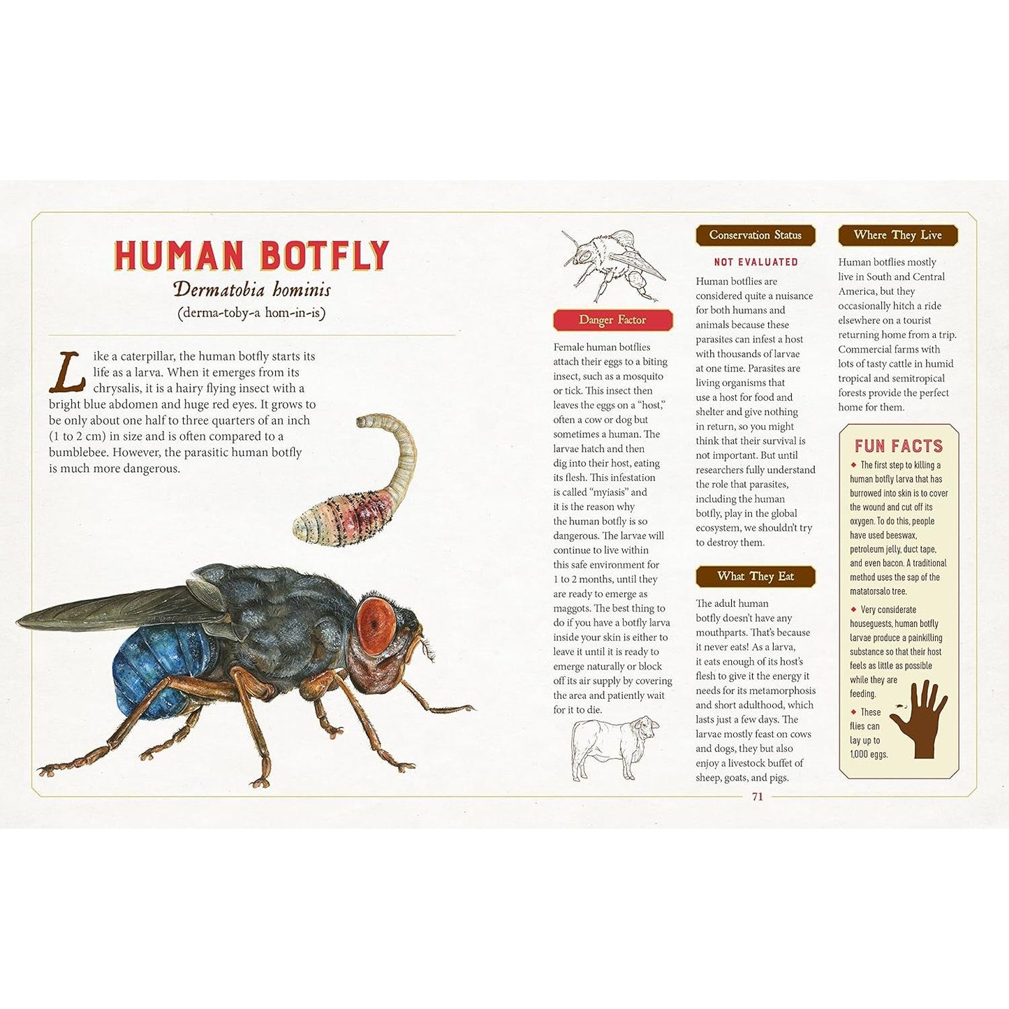 A CURIOUS COLLECTION OF DANGEROUS CREATURES: AN ILLUSTRATED ENCYCLOPEDIA BY SAMI BAYLY