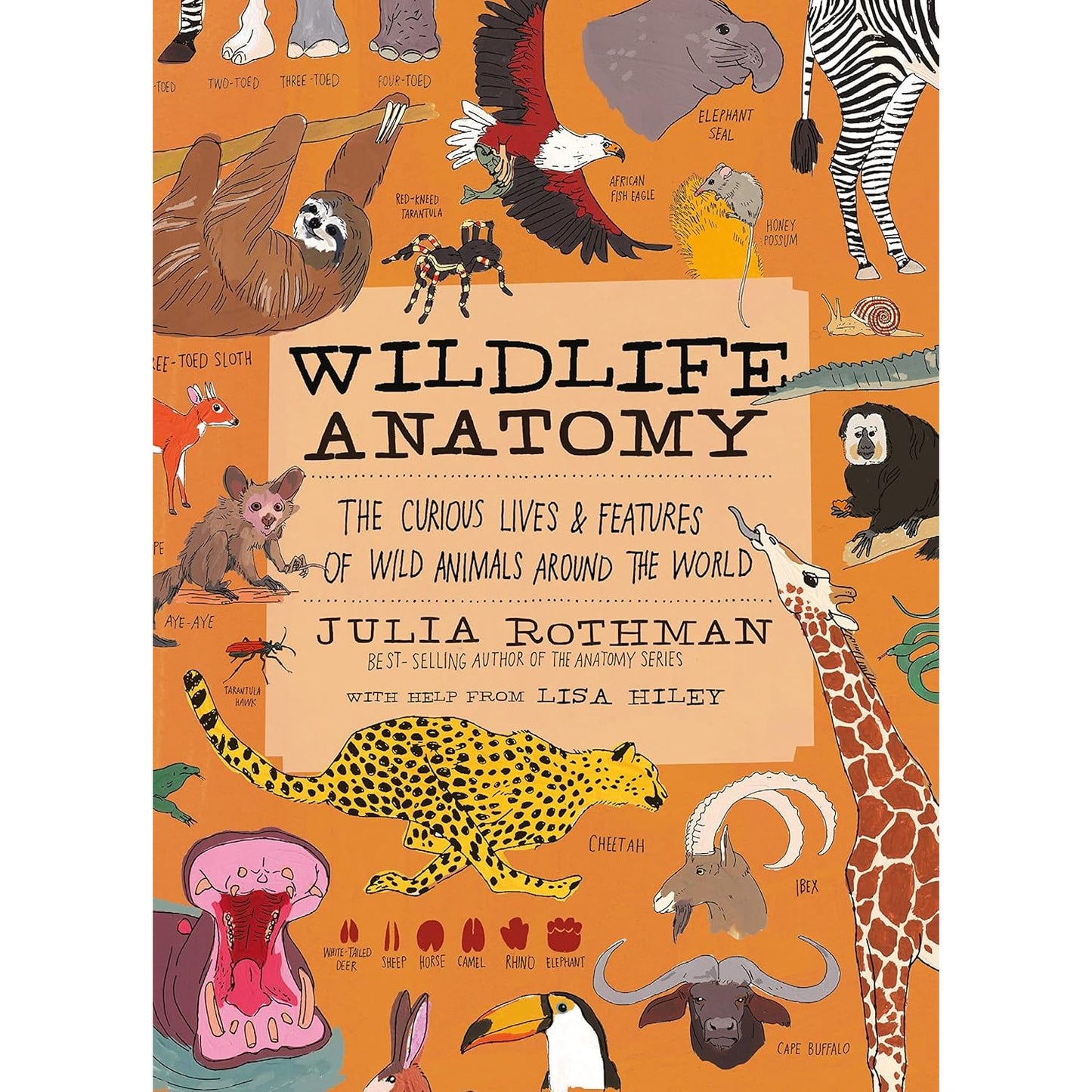 WILDLIFE ANATOMY THE CURIOUS LIVES AND FEATURES OF WILD ANIMALS AROUND THE WORLD BY JULIA ROTHMAN