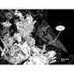 QUEENS OF THE CRYPT: A GRAPHIC NOVEL: VOLUME 1