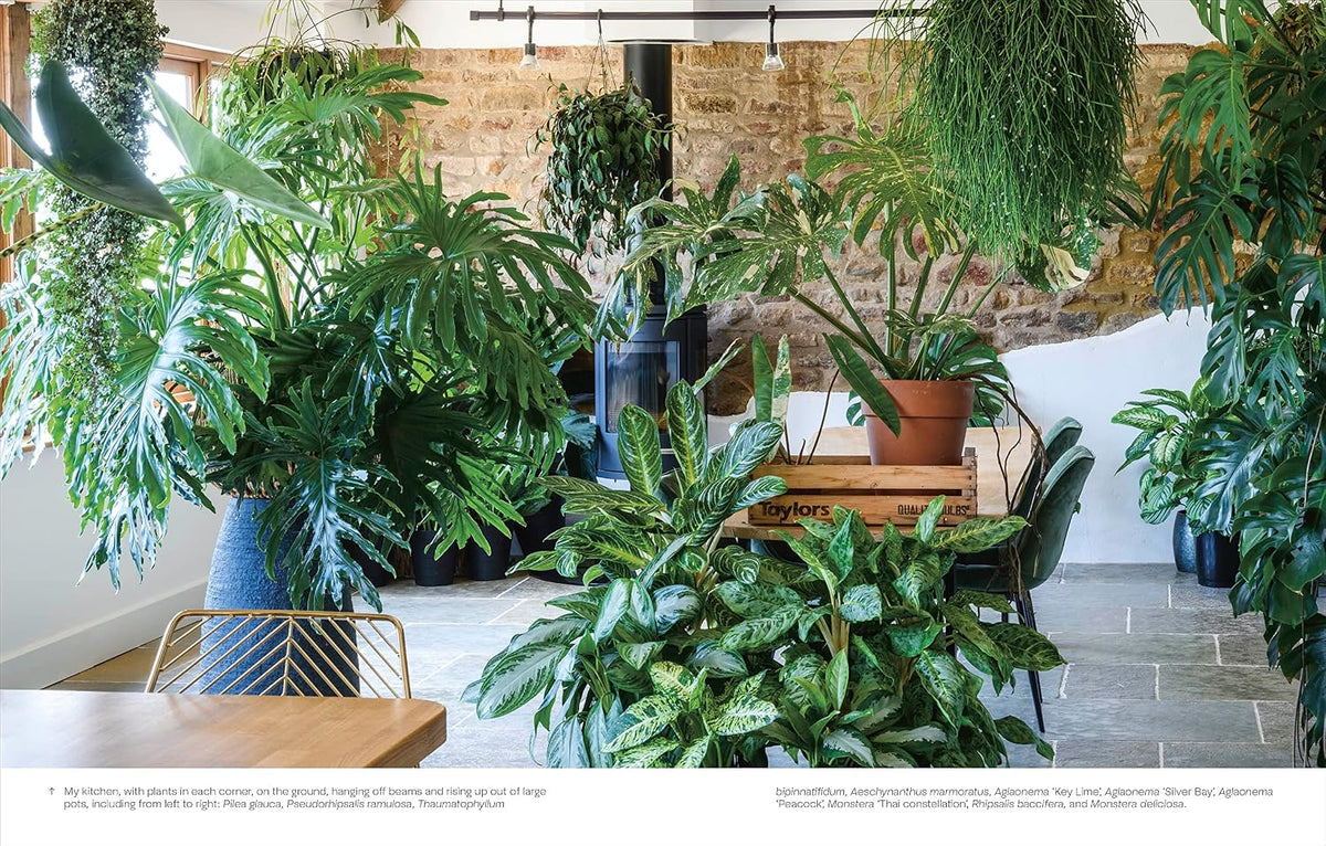 NOT ANOTHER JUNGLE: COMPREHENSIVE CARE FOR EXTRAORDINARY HOUSEPLANTS BY TONY LE-BRITTON