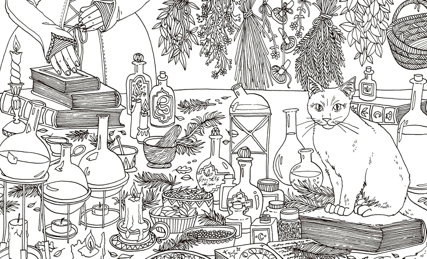 INTO THE COVEN: A SPELLBINDING COLORING BOOK FOR THE MODERN WITCH BY ANNA TROMOP