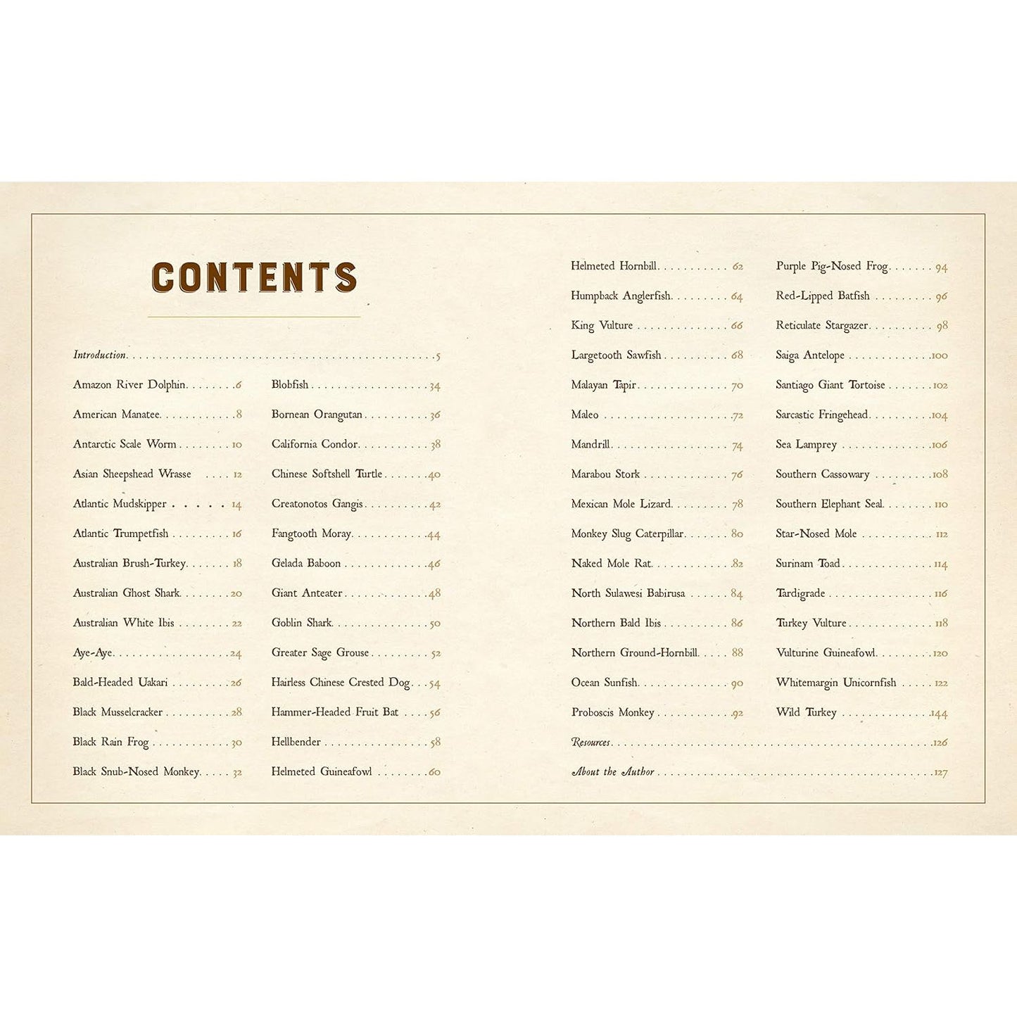 A CURIOUS COLLECTION OF PECULIAR CREATURES: AN ILLUSTRATED ENCYCLOPEDIA BY SAMI BAYLY