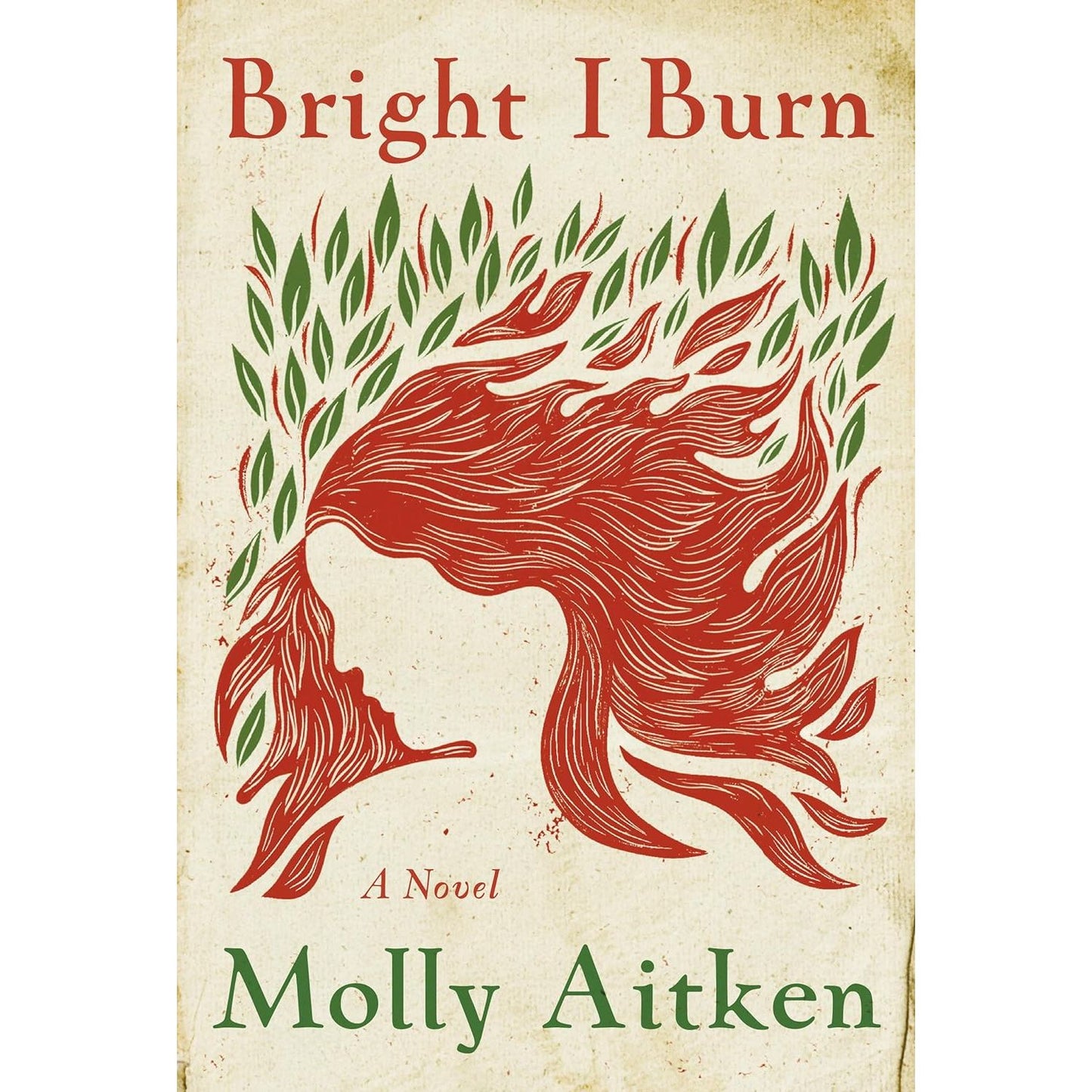 BRIGHT I BURN BY MOLLY AITKEN