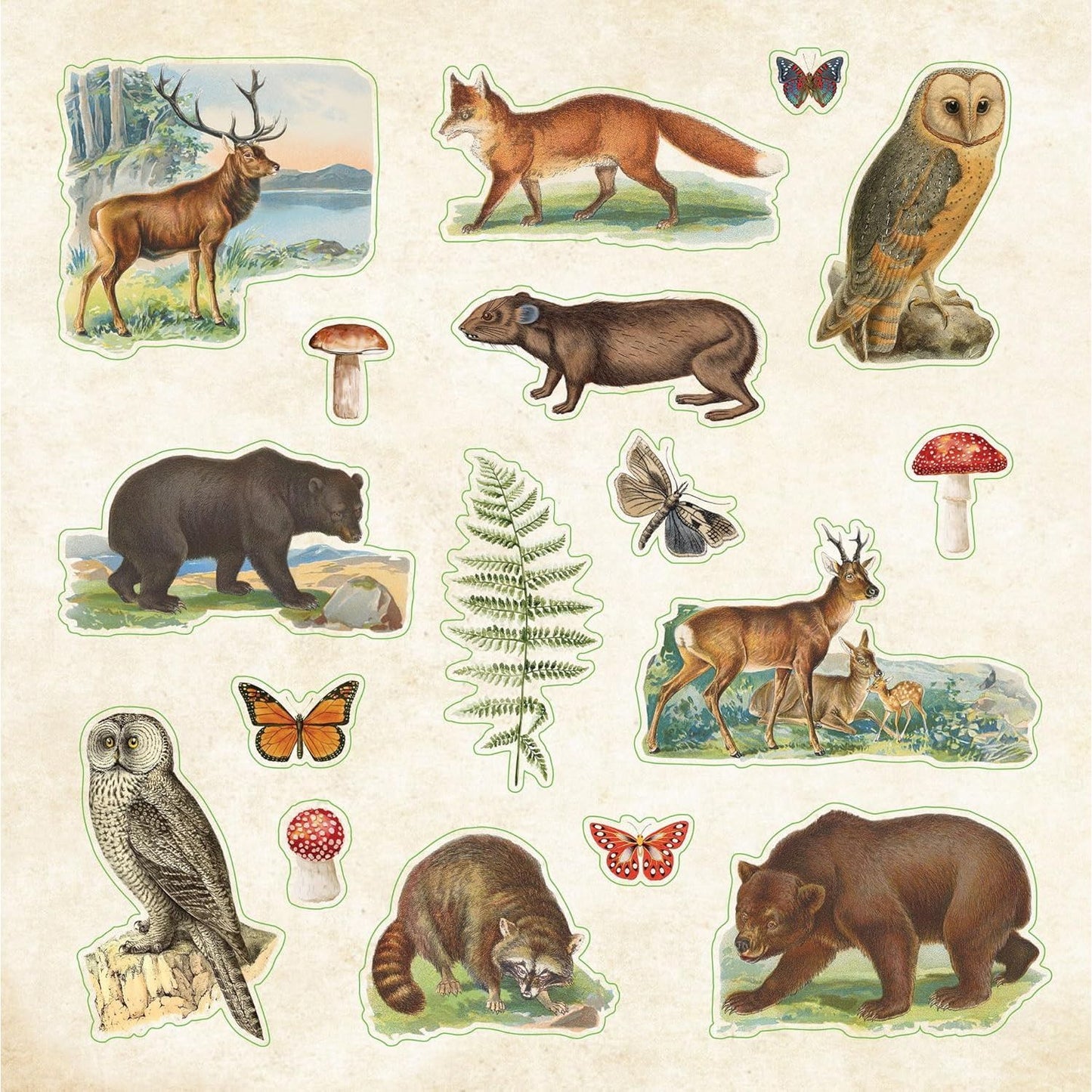 ZOOLOGICAL EPHEMERA STICKER BOOK