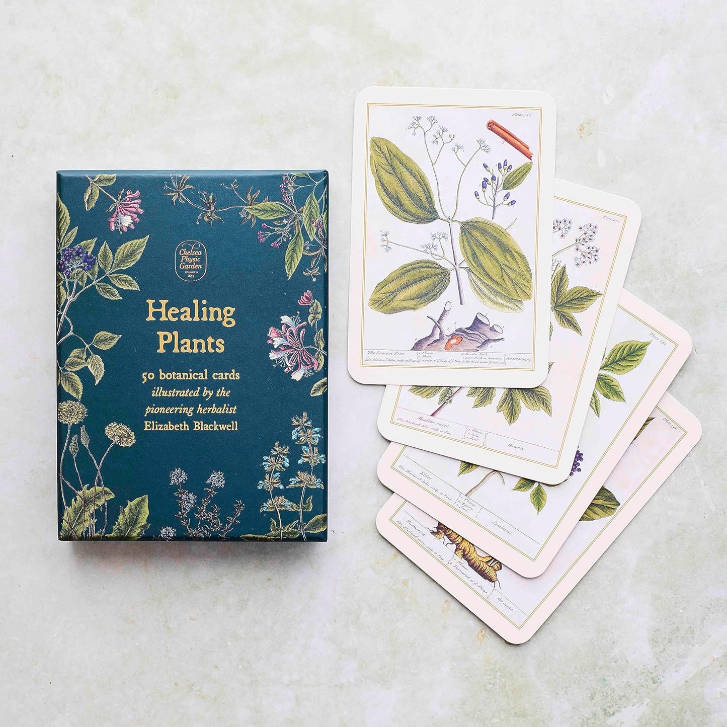 HEALING PLANTS 50 BOTANICAL CARDS