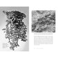 PLANET OF THE ANTS: THE HIDDEN WORLDS AND EXTRAORDINARY LIVES OF EARTH'S TINY CONQUEROTS BY SUSANNE FOITZIK AND OLAF FRITSCHE