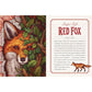 THE ILLUSTRATED BEASTIARY BY MAIA TOLL