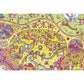 THE CRYSTAL CAVES 1000 PC