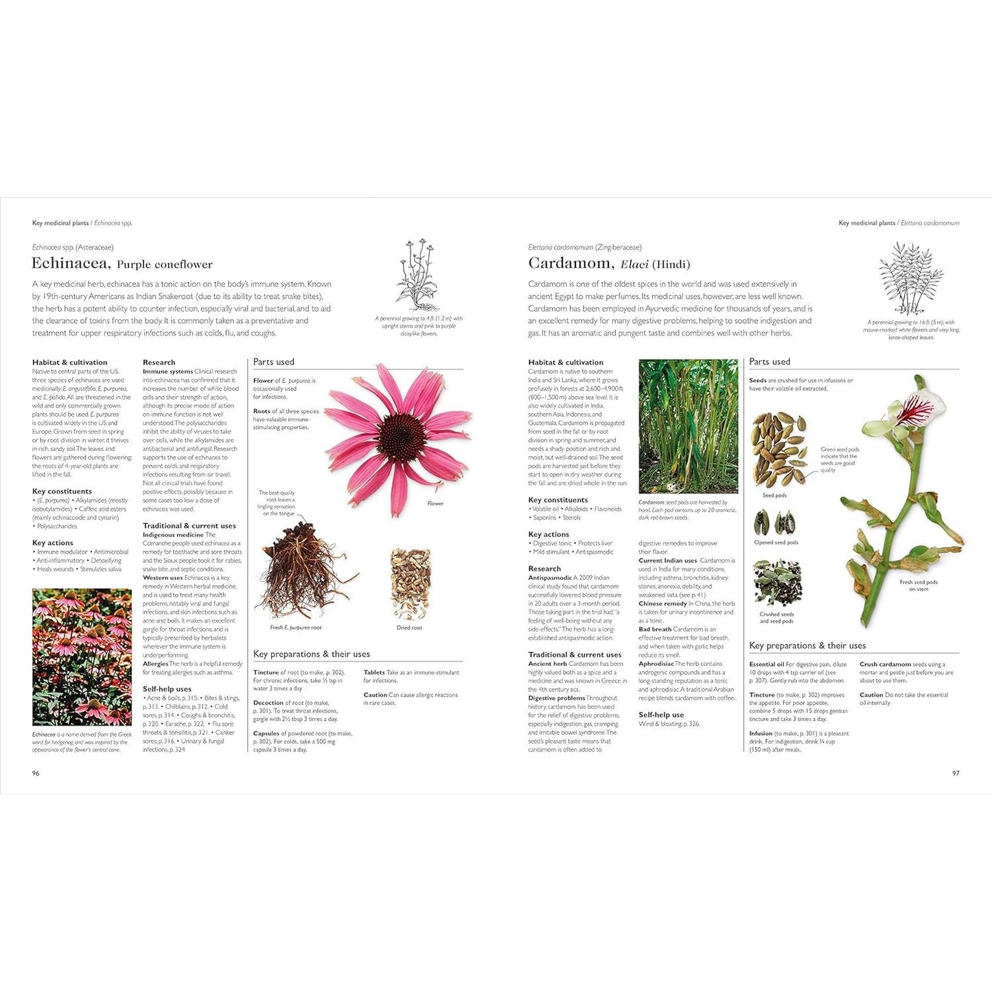 THE ENCYCLOPEDIA OF HERBAL MEDICINE BY ANDREW CHEVALLIER, FNIMH (DK BOOK)