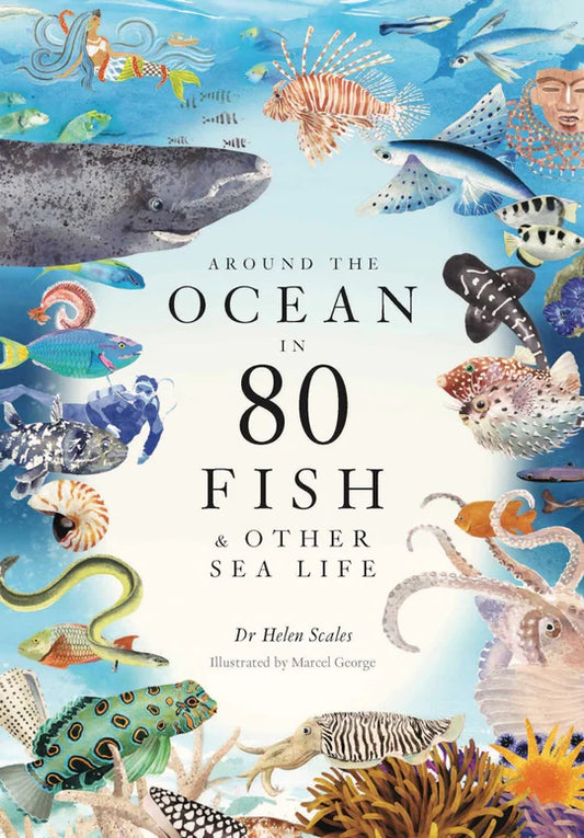 AROUND THE OCEAN IN 80 FISH & OTHER SEA LIFE BY DR. HELEN SCALES AND ILLUSTRATED BY MARCEL GEORGE