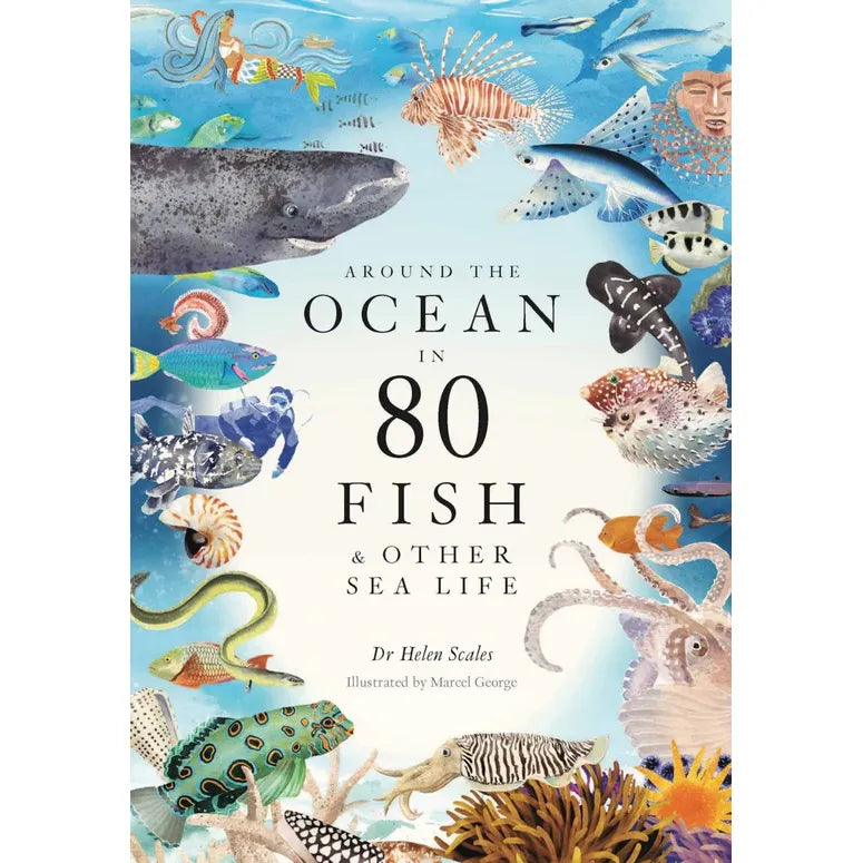 AROUND THE OCEAN IN 80 FISH & OTHER SEA LIFE BY DR. HELEN SCALES AND ILLUSTRATED BY MARCEL GEORGE