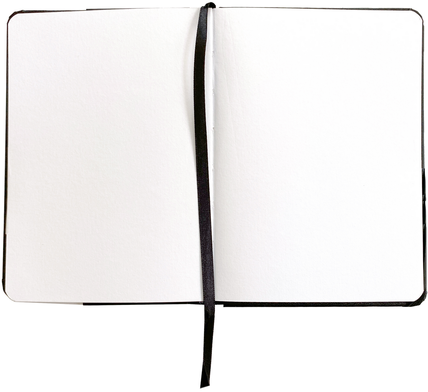 FIELD SKETCHBOOK