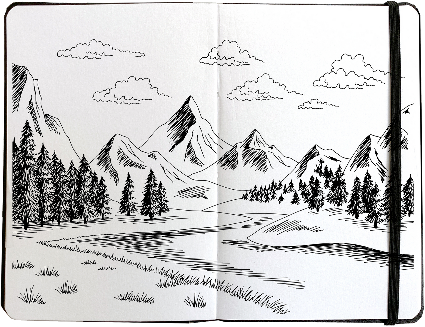 FIELD SKETCHBOOK