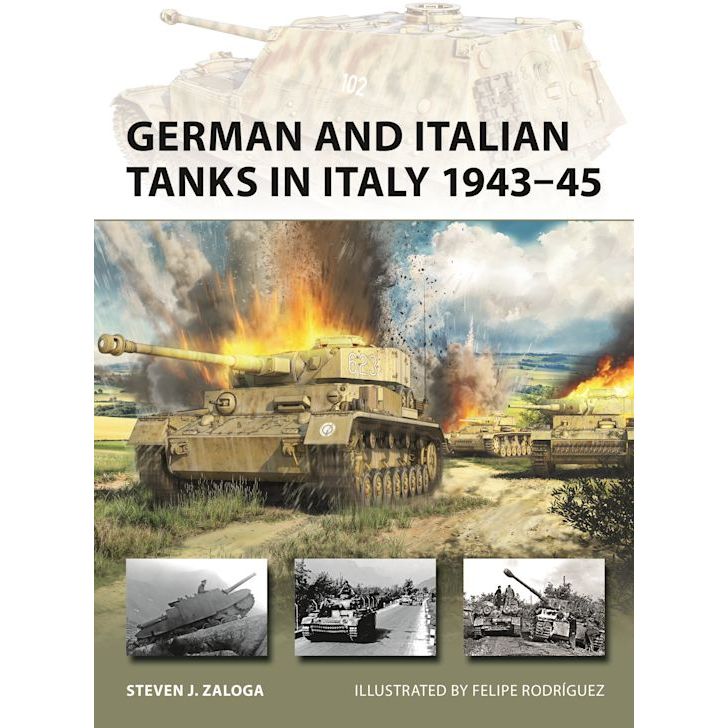 GERMAN AND ITALIAN TANKS IN ITALY 1943-45