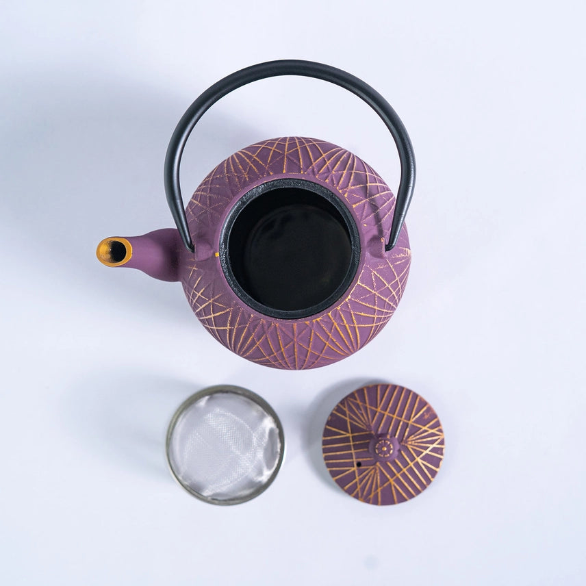 TESTUBIN PURPLE ROUND CAST IRON TEA POT