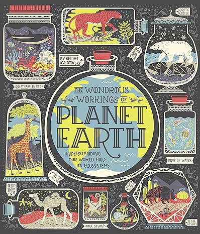THE WONDEROUS WORKINGS OF PLANET EARTH BY RACHEL IGNOTOFSKY
