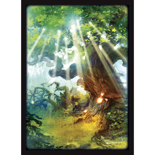 LANDS FOREST SLEEVES