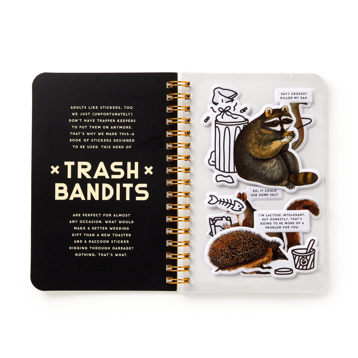 TRASH BANDITS STICKER BOOK