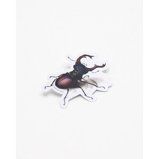 STAG BEETLE STICKER