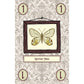 LEPIDOPTERY
