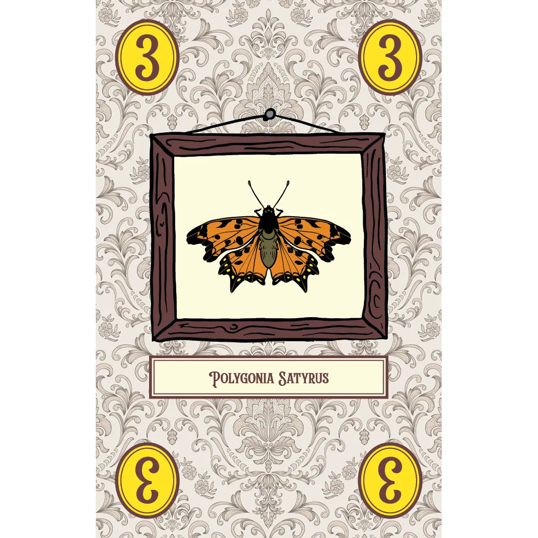 LEPIDOPTERY