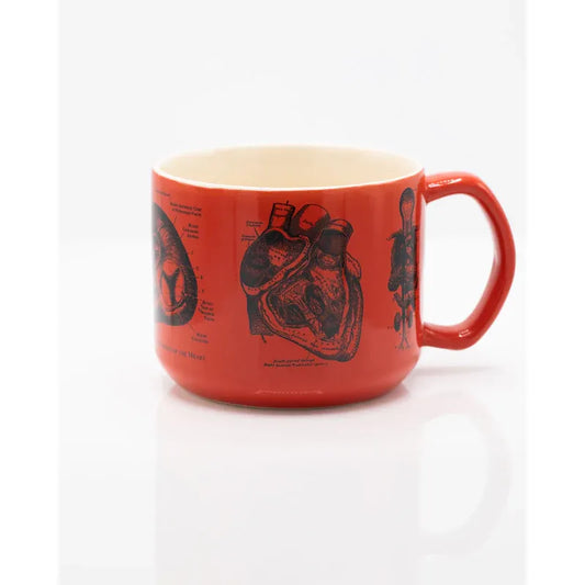 HEART ANATOMY MUG