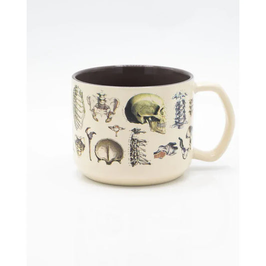 SKELETON ANATOMY MUG