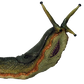 7 TV COLOSSAL SLUG
