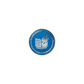 DAGGERHEART DOMAIN PIN
