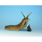 7 TV COLOSSAL SLUG