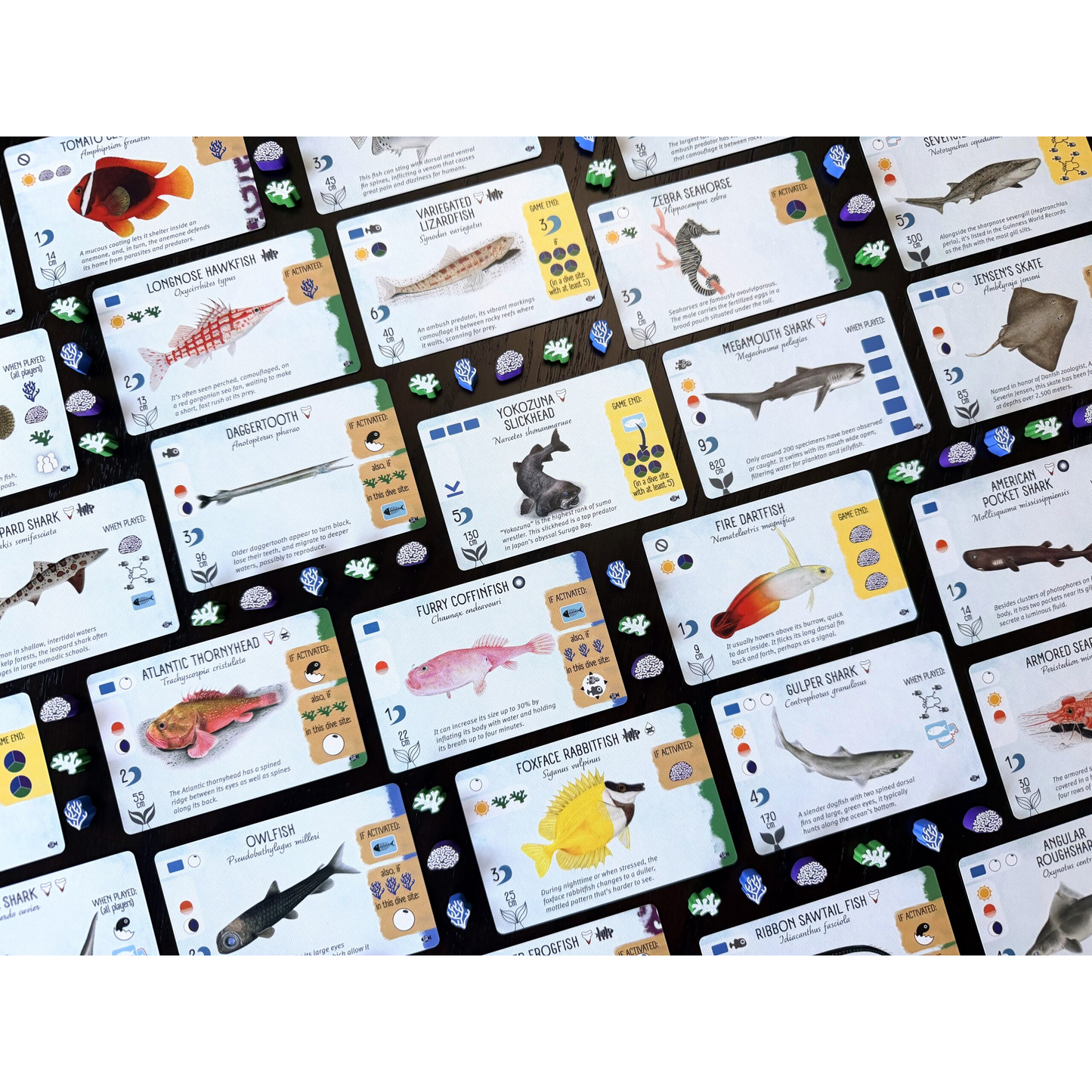 FINSPAN: SHARKS & REEFS EXPANSION