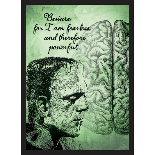 LEGION FRANK SLEEVES (50)