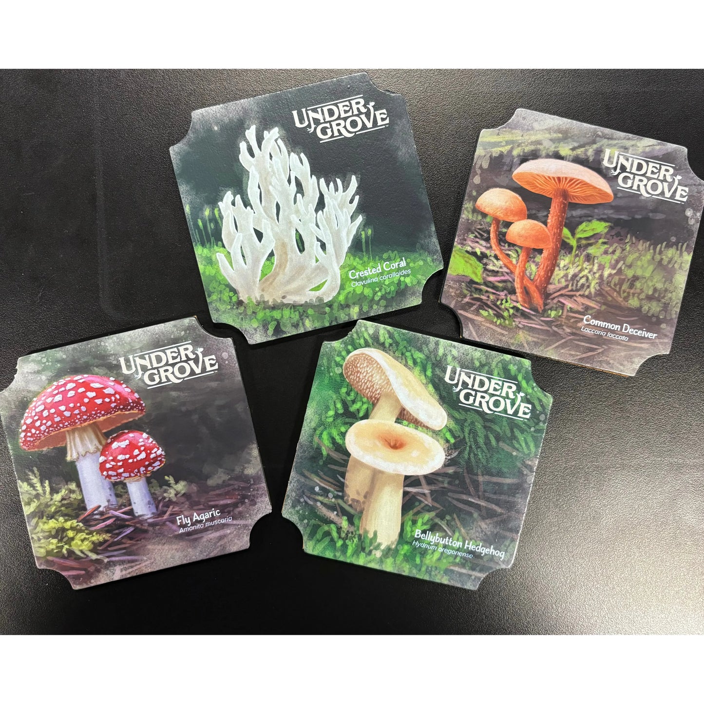 UNDERGROVE COASTER SET