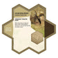 HEROSCAPE SECRETS OF THE CITADEL MIGHT OF THE NEW ALLIANCE
