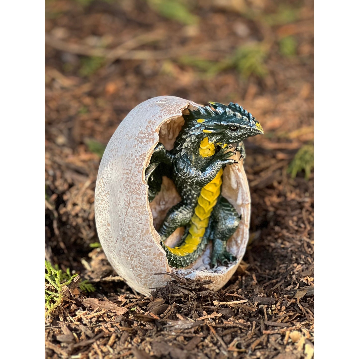 GREEN DRAGON HATCHLING