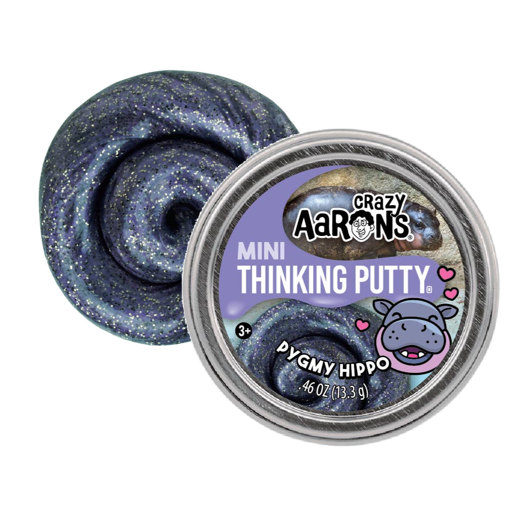 CRAZY AARON'S MINI THINKING PUTTY