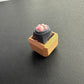 CLICKYVERSE ONE KEY PAW CLICKER