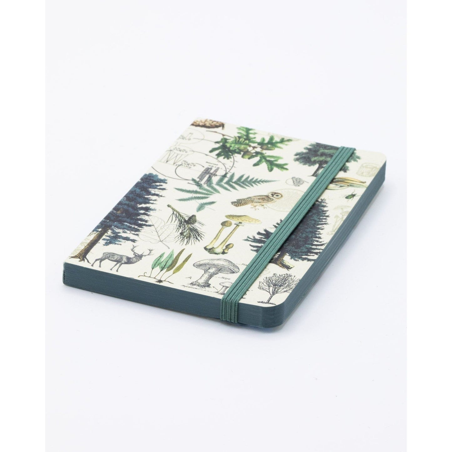 INTO THE FOREST JOURNAL