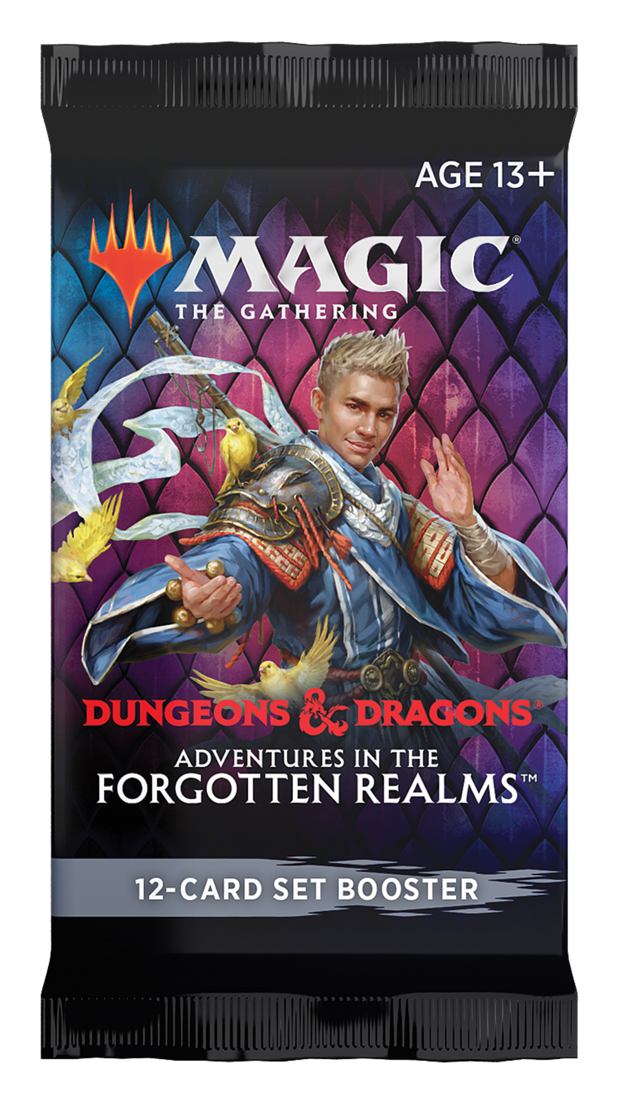ADVENTURES IN THE FORGOTTEN REALMS SET BOOSTER PACK