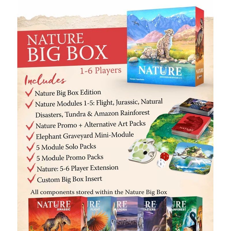 NATURE BIG BOX