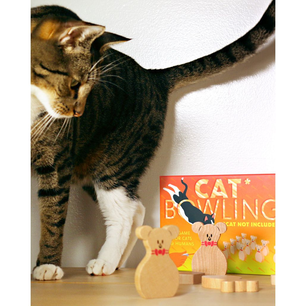 CAT BOWLING