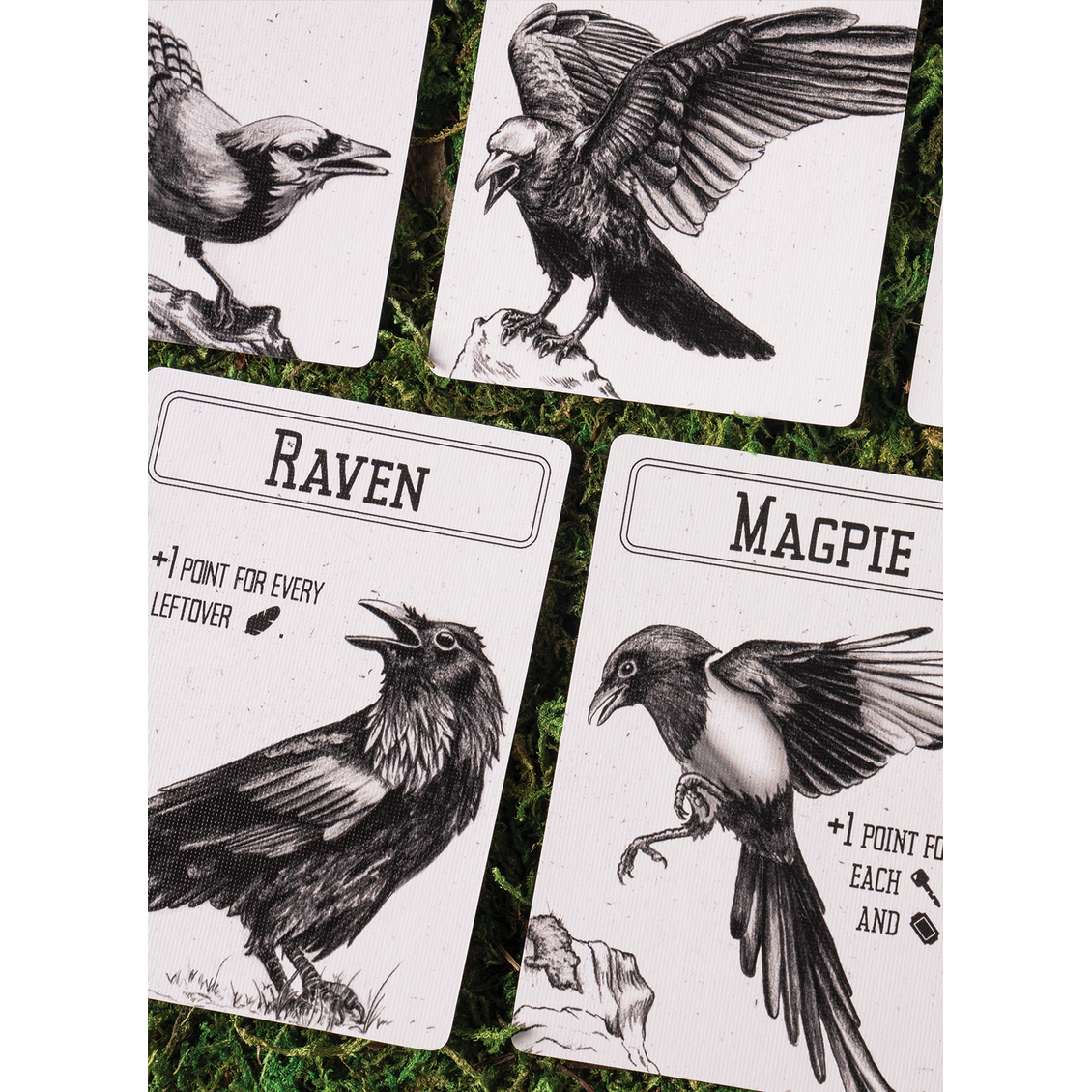 CORVIDS THE CARD GAME OF TRASH + TREASURE