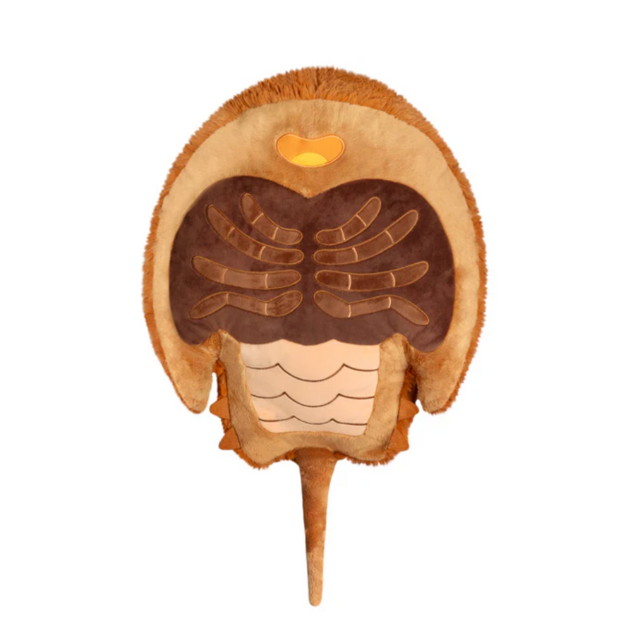 SQUISHABLE HORSESHOE CRAB